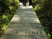 see-the-beautiful-board-walk