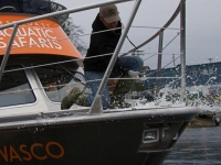 Christening WASCO