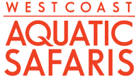 West Coast Aquatic Safaris