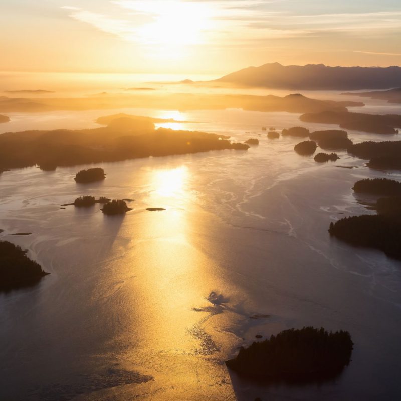 Tofino