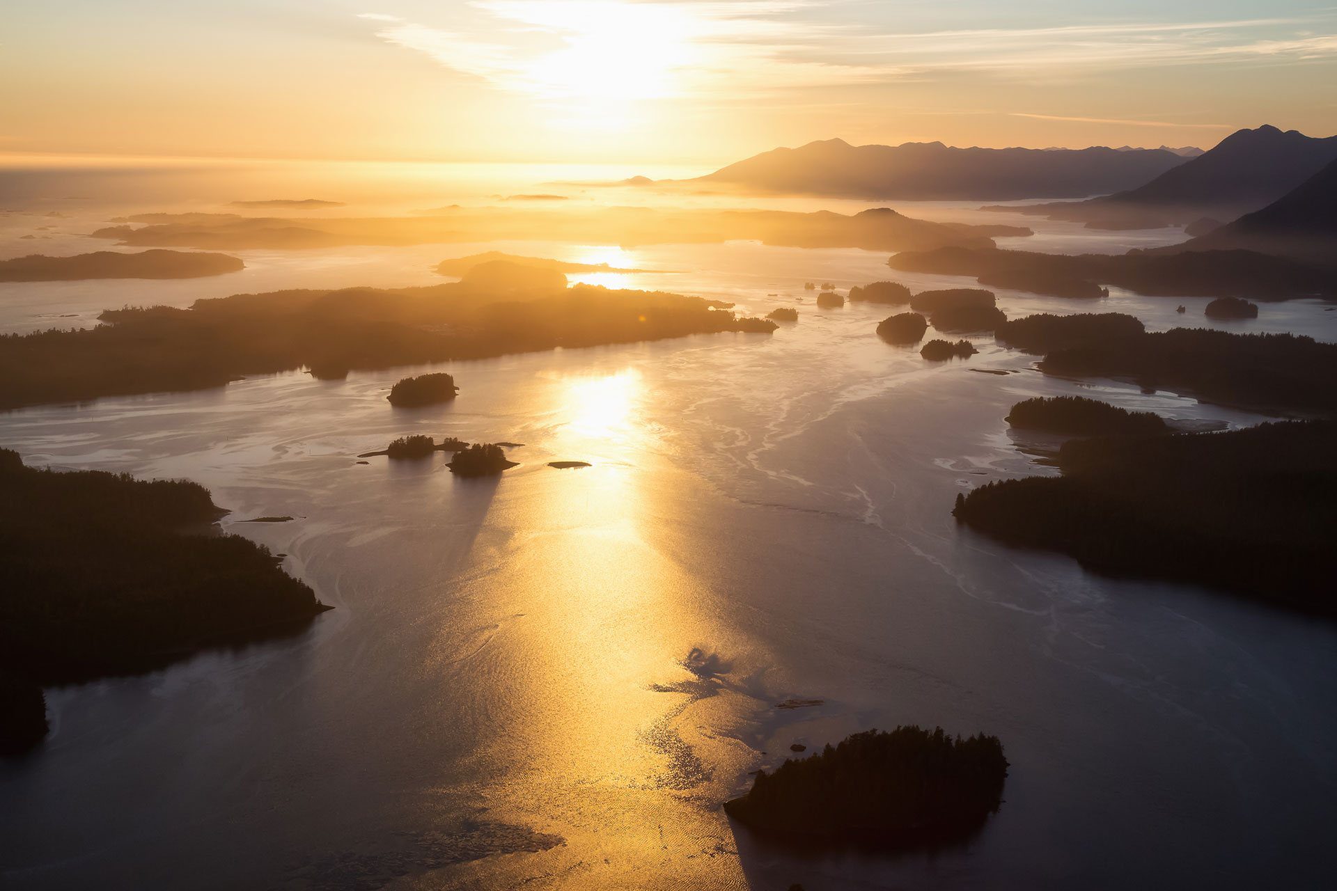 Tofino Tours Summer Wildlife Watching