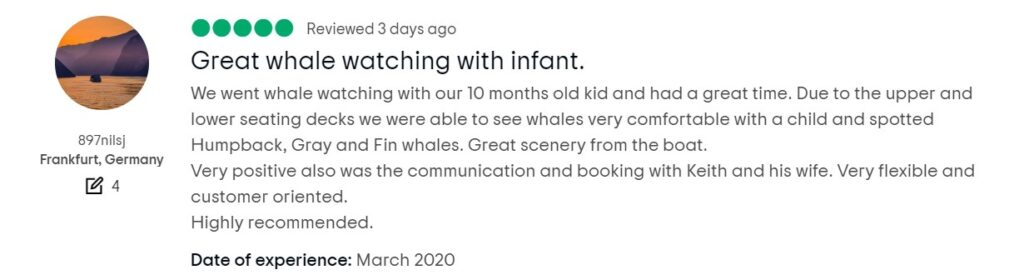 whale watching in bc reviews image