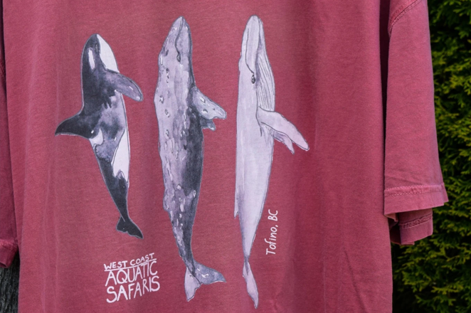 Adult 3 Whale T-Shirt