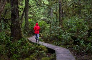 best hiking trails in tofino