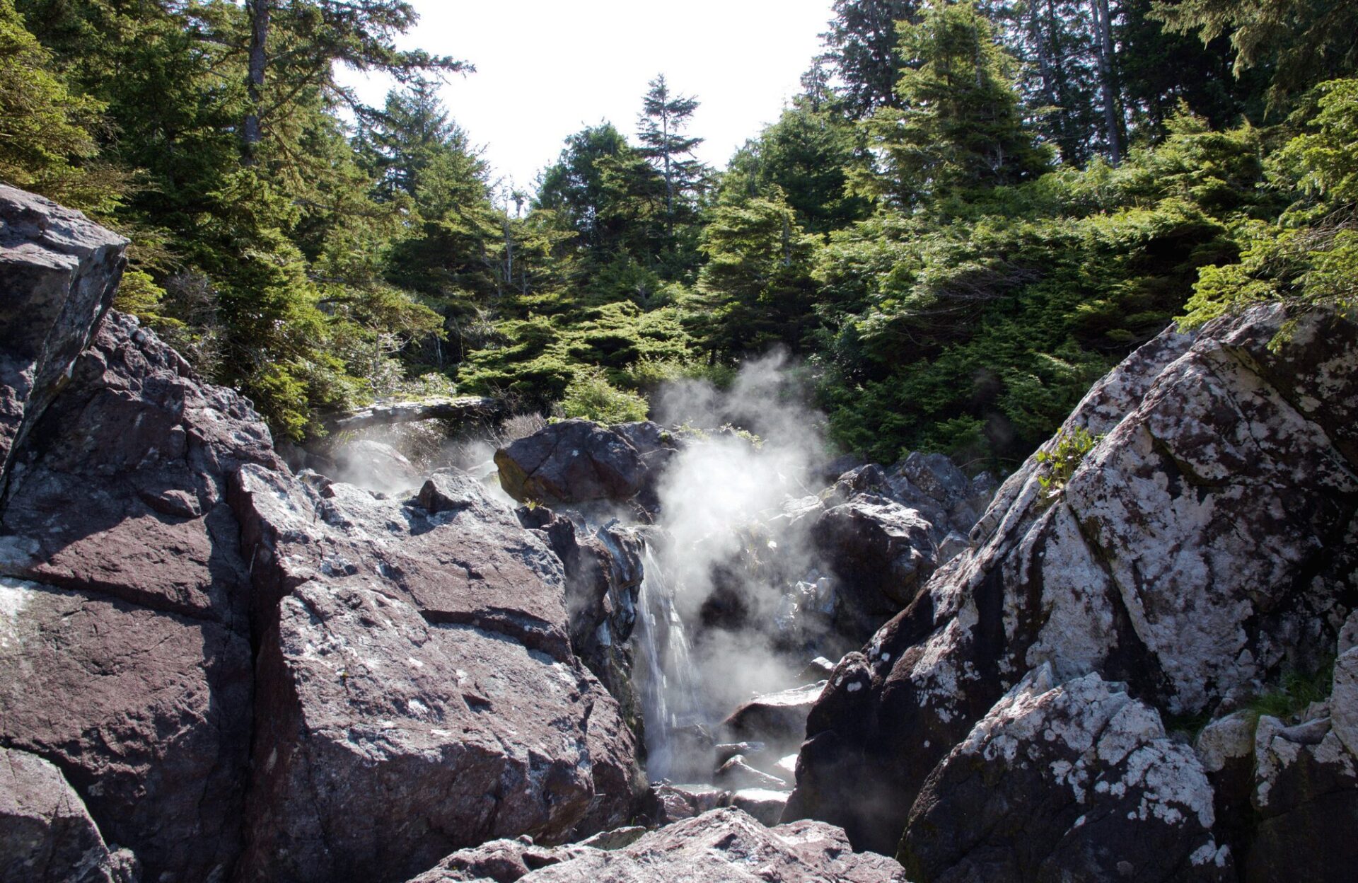 hot springs cove tofino