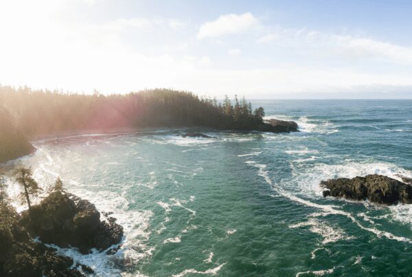 tofino and west coast sightseeing