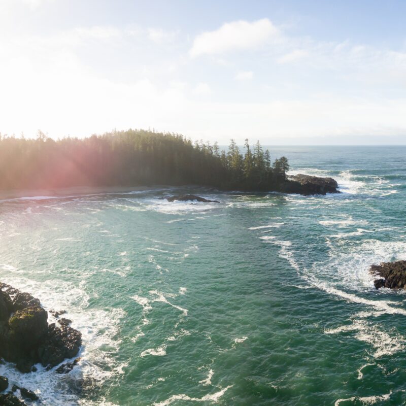 tofino and west coast sightseeing