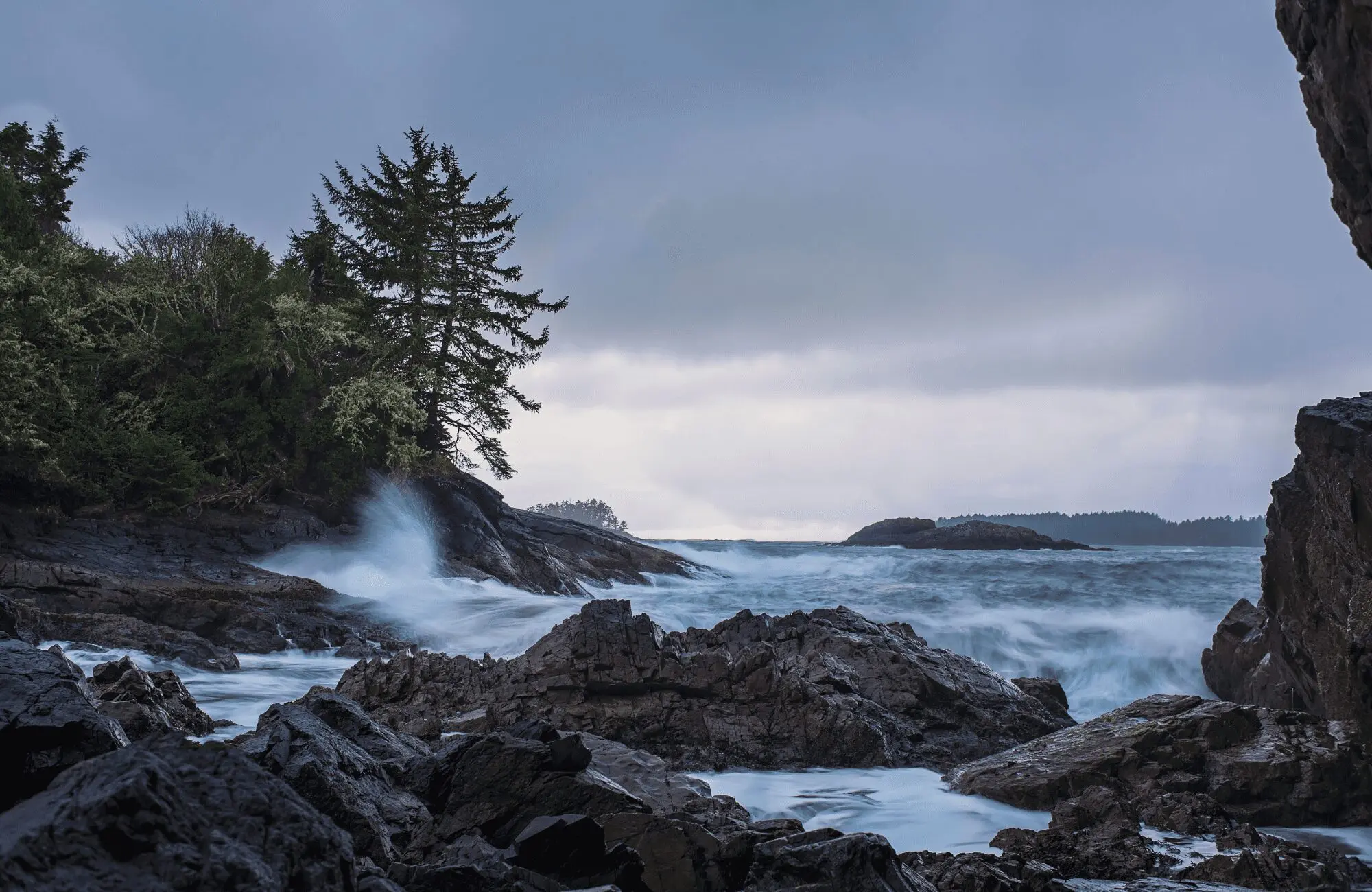 Tofino Wildlife, Trails, Natural Attractions and More
