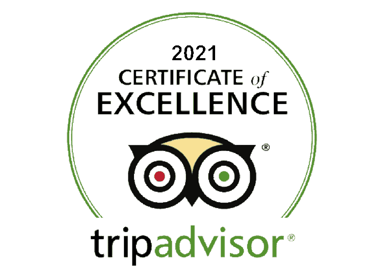 Trip Advisor Certificate of Excellence style=