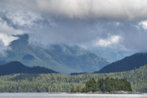 tofino weather