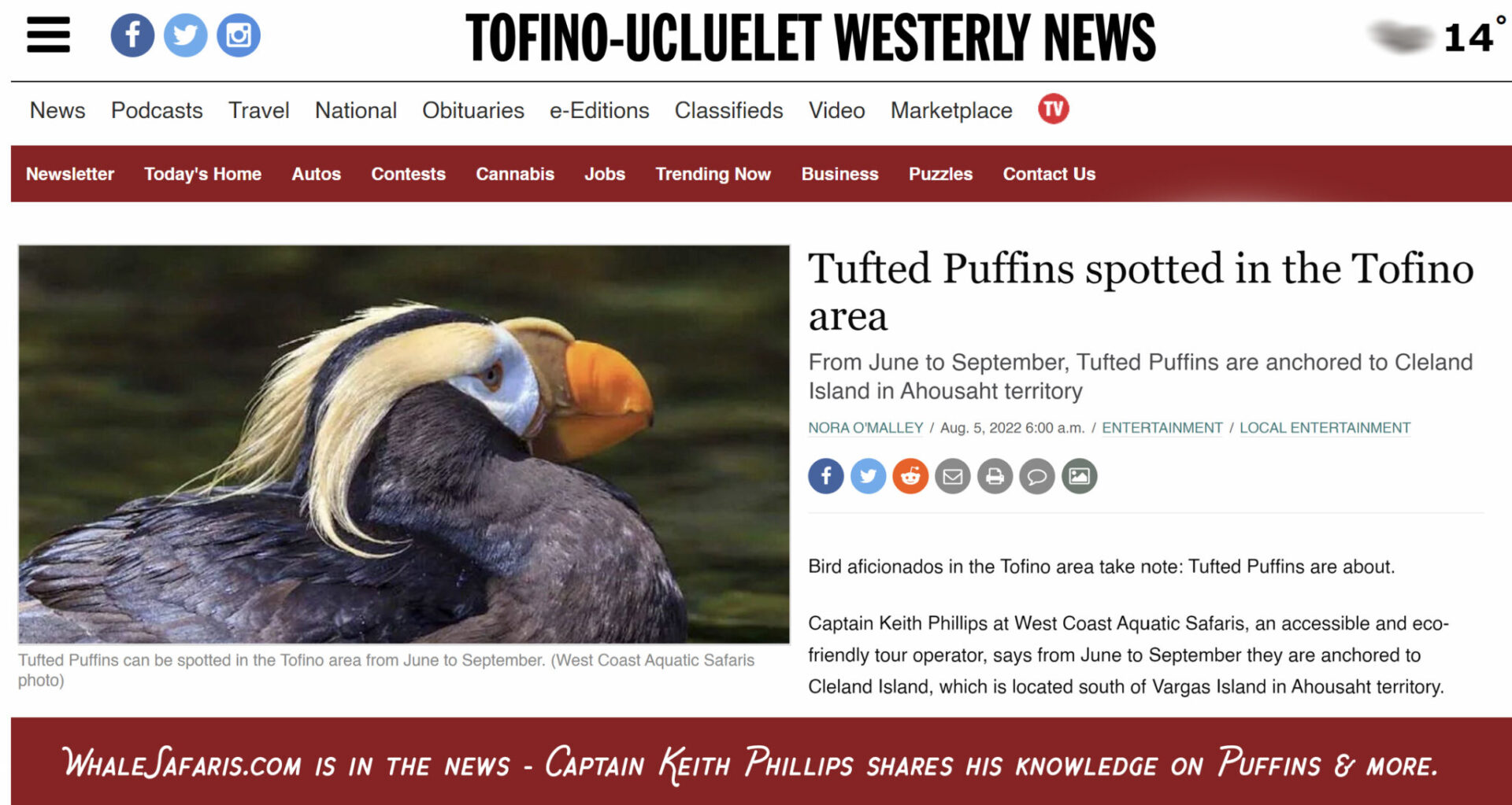 Tofino Boat Tours… Now With Tufted Puffins