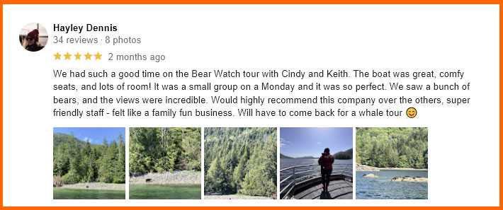 google review for tofino bear watching
