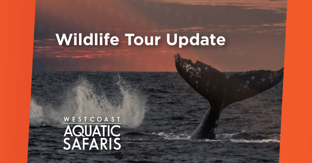 Wildlife Tour Update – Wednesday, April 17th
