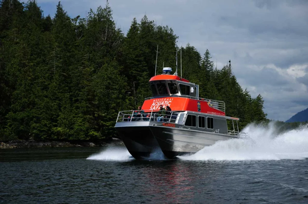 Wildlife tour boat cruising through the coastal waters near Tofino surrounded by dense forest and ocean spray
