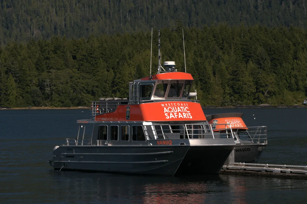 whale watching boats